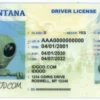 Montana Fake ID