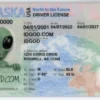 Alaska Fake ID