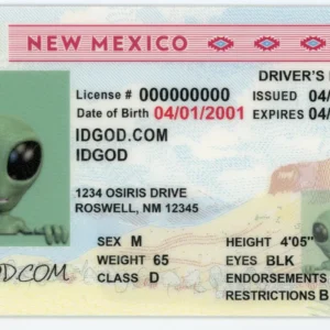 New Mexico Fake ID