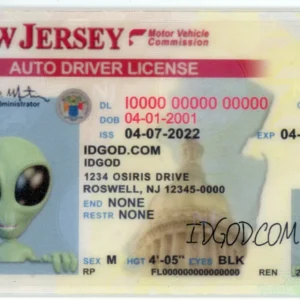 New Jersey Fake ID
