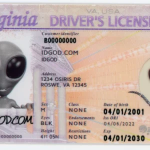 Virginia Fake ID