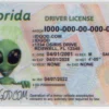 Florida Fake ID
