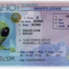 Idaho Fake ID