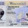 Wisconsin Fake ID
