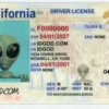 California Fake ID