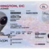 Washington DC Fake ID