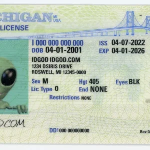 Michigan Fake ID