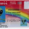 Hawaii Fake ID